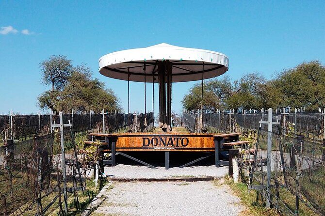Visit 1 Cheese Factory and 2 Vineyards, starting from Querétaro - Practical Tips for Travelers