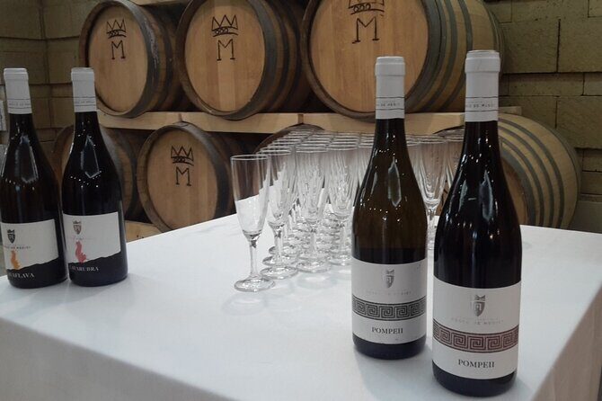 Visit 2 wine producers with tasting and transportation included - A Deeper Look at the Tour Experience