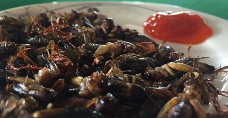 Visit 3 majestic waterfalls in Dalat - Exploring Dalat’s Waterfalls and Beyond