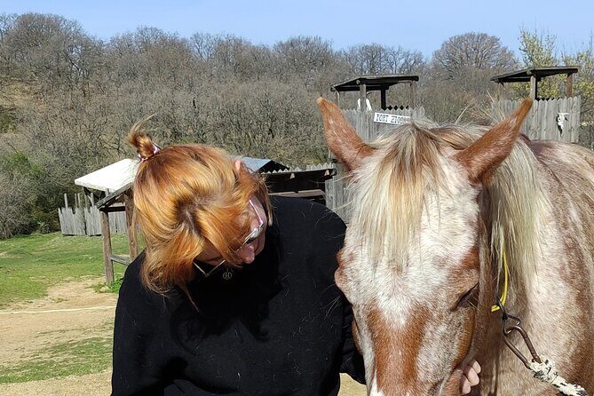Visit a Farm and Horseback Riding in Nature - Why This Tour Offers Great Value