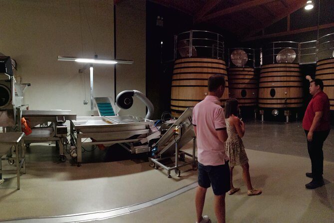 Visit a winery in Rioja - Key Points