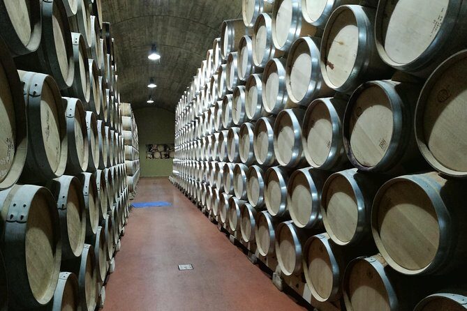 Visit a winery in Rioja - A Balanced Viewpoint: The Pros and Cons