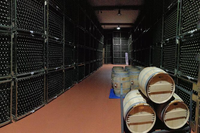 Visit a winery in Rioja - Who Will Enjoy This Tour?