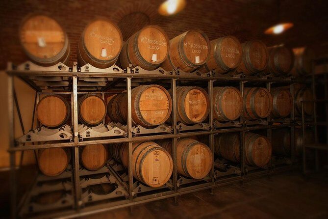 Visit among vineyards and wine cellar with wine tasting in Nizza Monferrato - Key Points