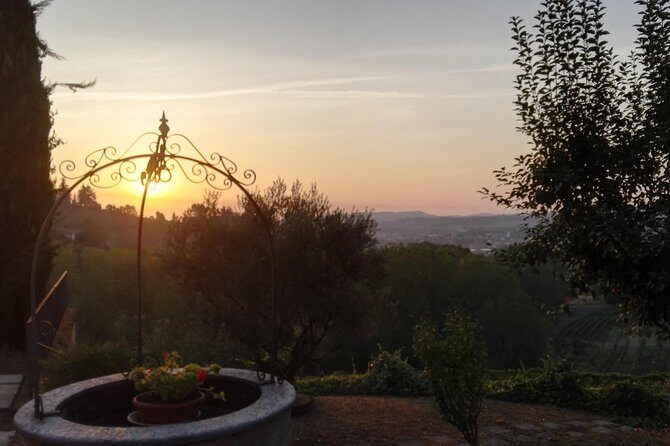 Visit among vineyards and wine cellar with wine tasting in Nizza Monferrato - Who Should Consider This Tour?