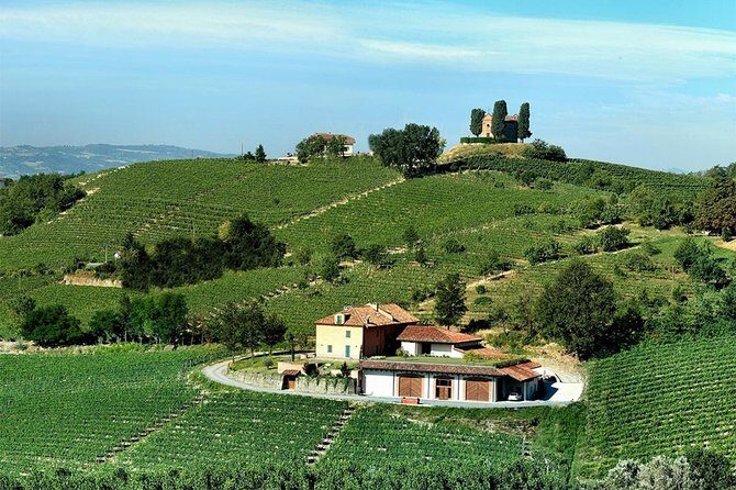 Visit among vineyards and wine cellar with wine tasting in Nizza Monferrato - The Sum Up: A Genuine Taste of Nizza Monferrato