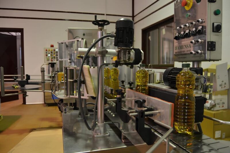 Visit an almazara + extra virgin olive oil tasting: Baeza - In-Depth Review: A Deep Dive into the Olive Oil Experience