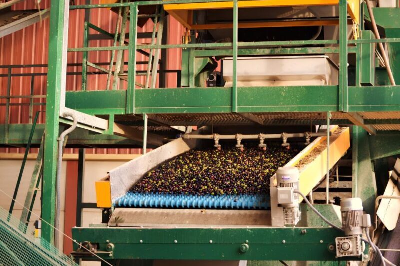 Visit an almazara + extra virgin olive oil tasting: Baeza - The Sum Up: Who Should Consider This Tour?
