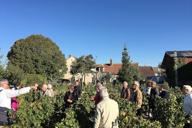 Visit and Chablis wine tasting at Domaine Clotilde Davenne in English - A Detailed Look into the Experience