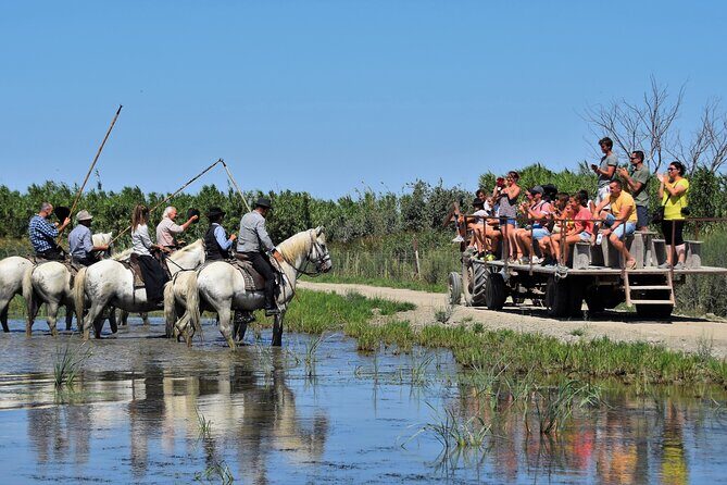 Visit and Discovery in the Heart of the Camargue - Who Will Love This Tour?