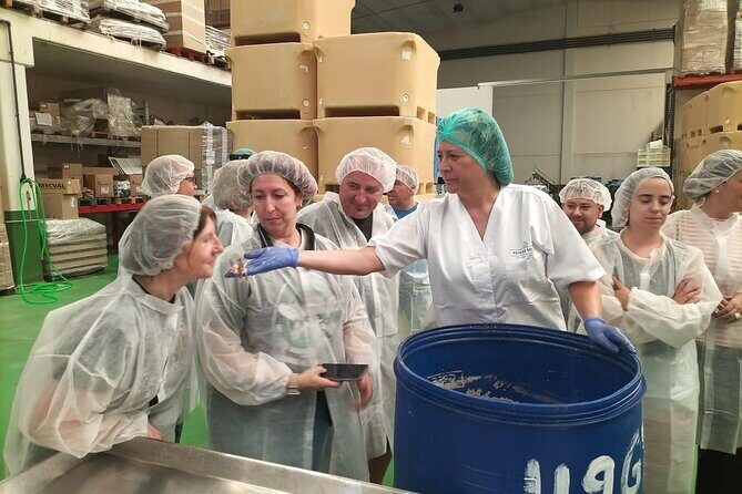 Visit and Gastronomic Experience of the Santoña Anchovy Factory - The Sum Up: Is It Worth It?