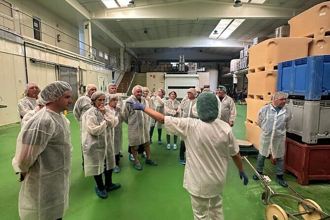Visit and Gastronomic Experience of the Santoña Anchovy Factory - FAQ