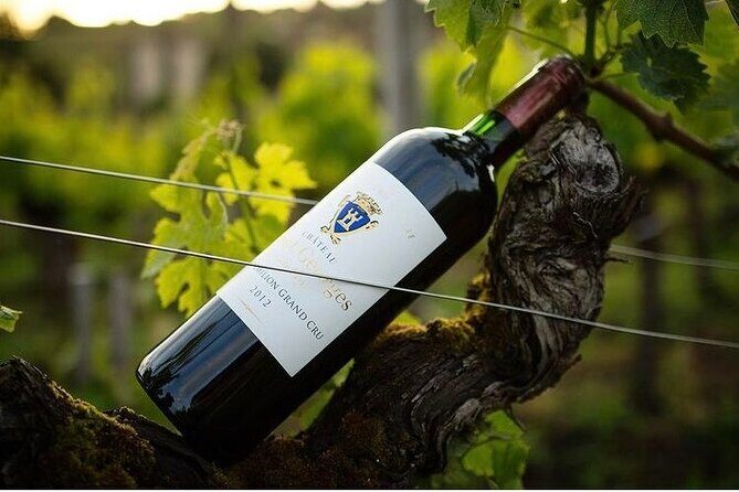 Visit and Tasting Château Saint-Georges Cote Pavie, Grand Cru Classé - The Sum Up: Is This Tour for You?