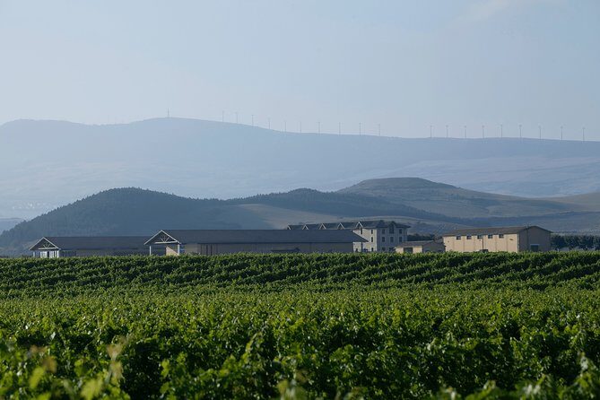 Visit and tasting in Otazu - Key Points