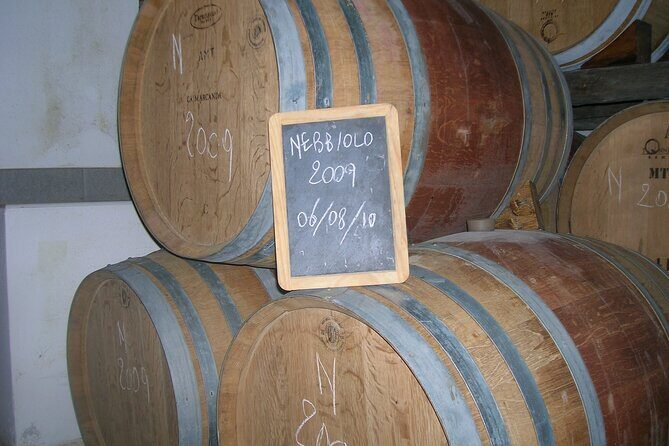 Visit and tasting of 3 D.O.C.wines Fontechiara - An In-Depth Look at the Fontechiara Wine Tour