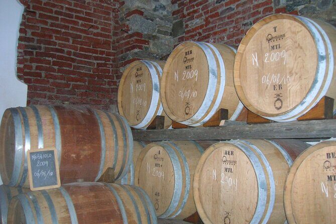 Visit and tasting of 4 D.O.C.wines Fontechiara - Discover the Charm of Fontechiara: A Lake Maggiore Winery Experience