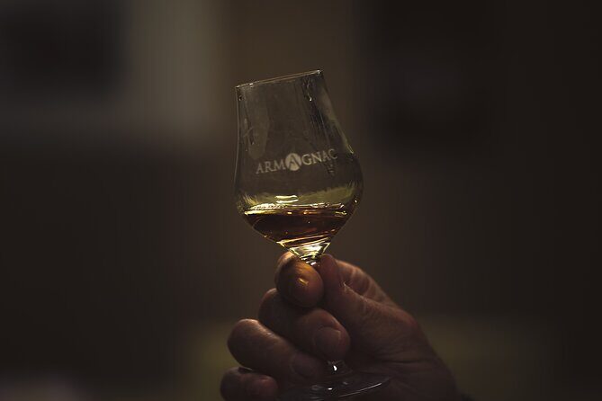 Visit and Tasting, The secrets of Haut-Armagnac - The Sum Up: Who Should Consider This Experience?