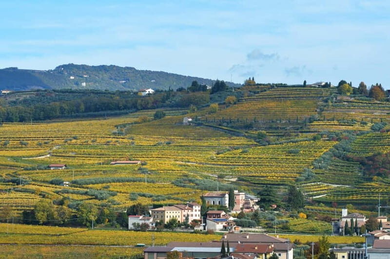 Visit and tasting with the producer - A Closer Look at the Veneto Wine Experience at Corte Badin