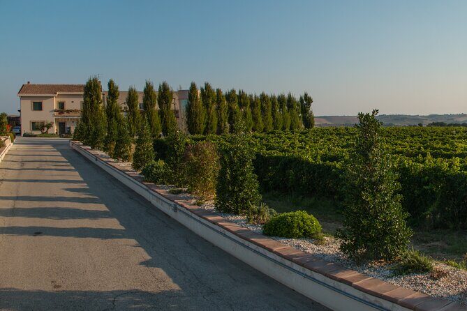Visit and wine tasting 30 minutes from Pescara - A Detailed Look at the Experience