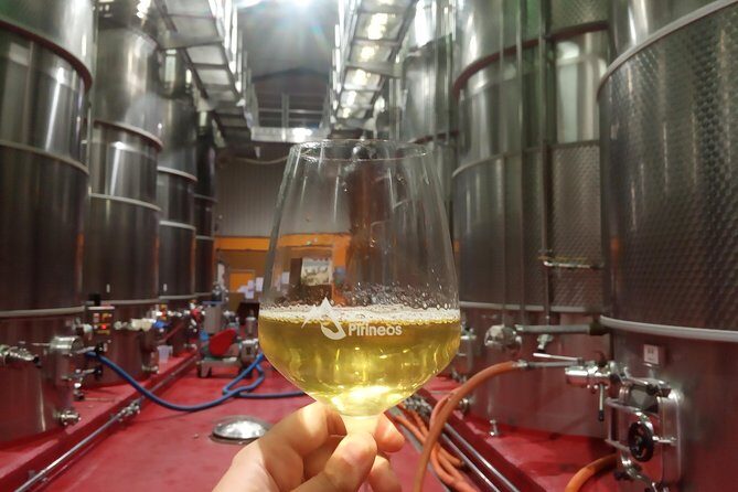 Visit and wine tasting at BODEGA PIRINEOS - A Deep Dive into the Bodega Pirineos Experience