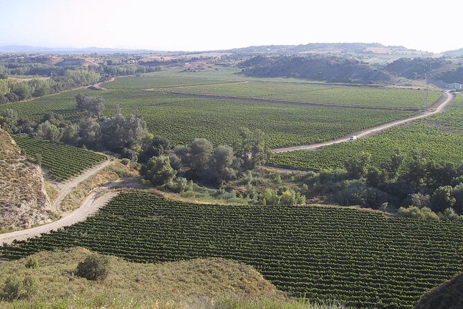 Visit and wine tasting at BODEGA PIRINEOS - Final Thoughts