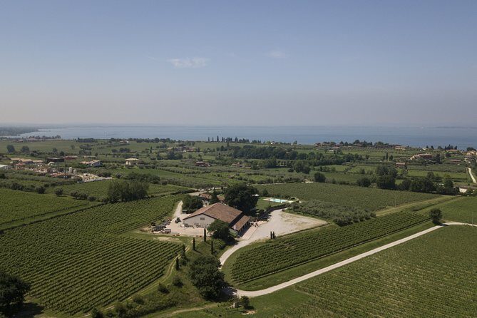 Visit and wine tasting at Tenuta La Cà - Experience Authentic Verona Wine Culture at Tenuta La Cà