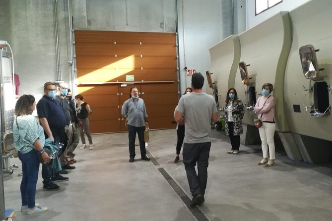 Visit and Wine Tasting at the Territorio Luthier Winery - Who Will Love This Tour?