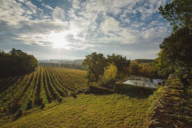 Visit and wine tasting: The Musketeers' wine - Who Will Love This Tour?
