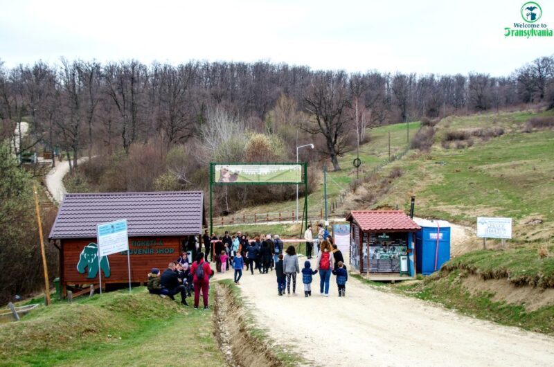 Visit Bear Sanctuary and Bran Castle from Brasov - Key Points
