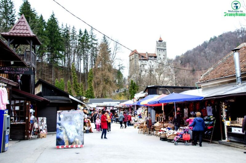 Visit Bear Sanctuary and Bran Castle from Brasov - A Detailed Look at the Tour Experience