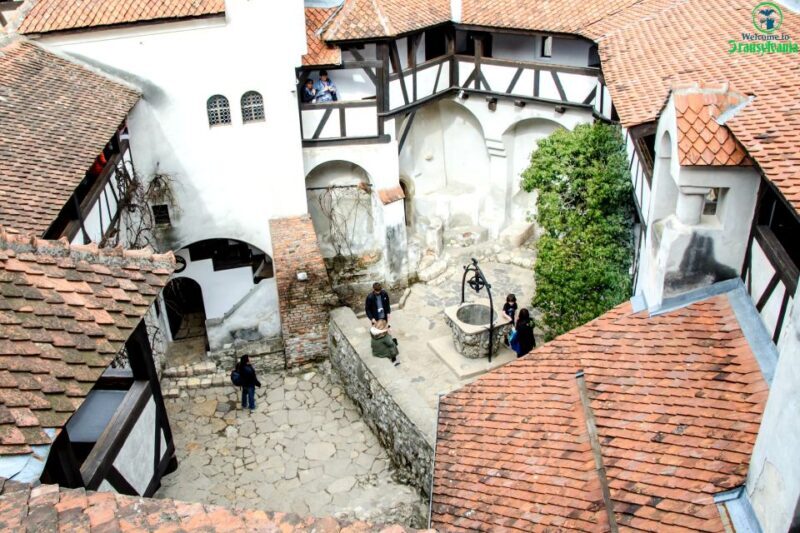 Visit Bear Sanctuary and Bran Castle from Brasov - Authentic Encounters and Firsthand Impressions