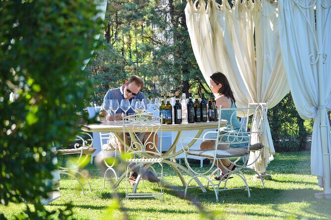 Visit Best Wineries in Tuscany - Wine Tasting & Tour - A Deep Dive into the Tuscany Wine Tasting & Tour