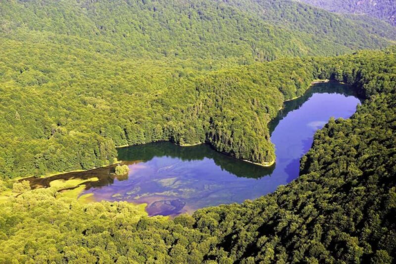 Visit Biograd lake, city Kolasin and Canyon. - Authentic Experiences and Real Traveler Insights