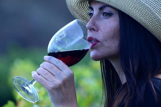 Visit Bodegas Teneguía winery in La Palma with wine Tasting - Key Points