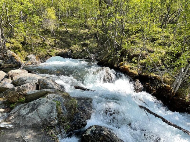 Visit Bubbelen, river comes out of the ground. - Key Points