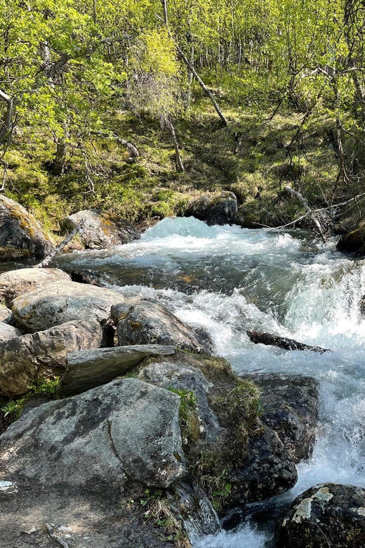 Visit Bubbelen, river comes out of the ground. - A Detailed Look at the Experience