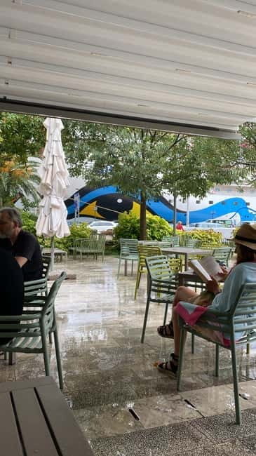 Visit Budva, Kotor and Tivat by private car ( 3 in 1 ) - Detailed Review of the Private Montenegro Coastal Tour