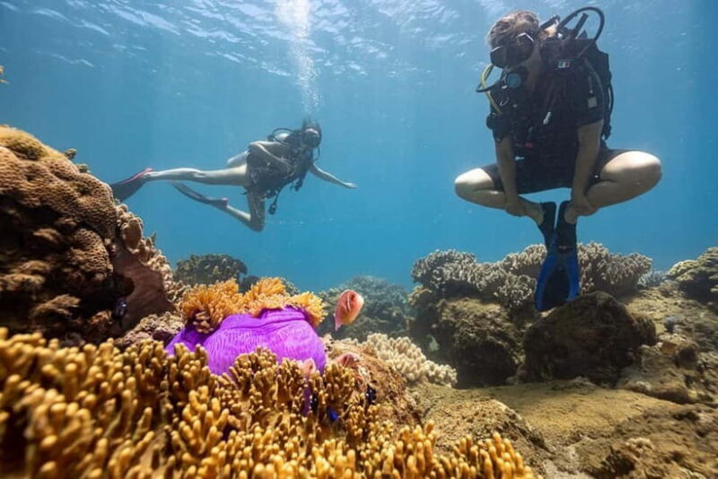 Visit Cham Islands & Snorkelling & Scuba Diving - Who Will Love This Tour?