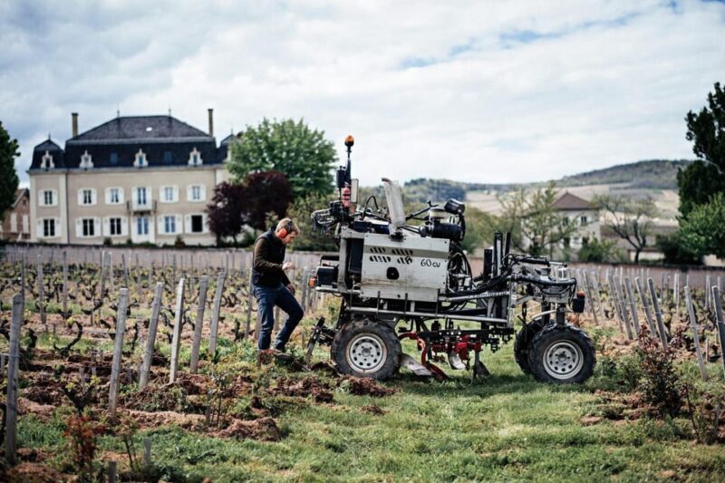 Visit : Château du Moulin-à-Vent, where time is an ally - Practicalities and Considerations
