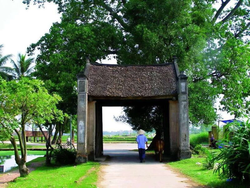 Visit Duong Lam Village & Admire The Countryside in Vietnam - Practical Details and Tips