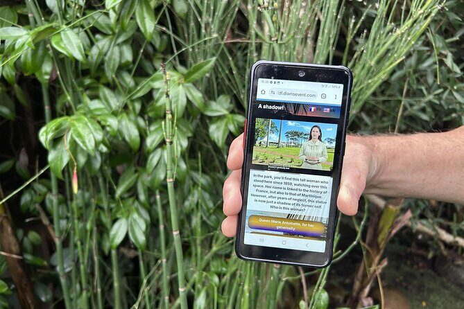 Visit Fort-DE-France with a fun and original track game! - Key Points