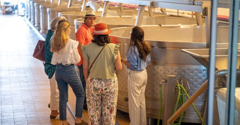 Visit Herdade da Comporta Winery - Final Thoughts: Is It Worth It?
