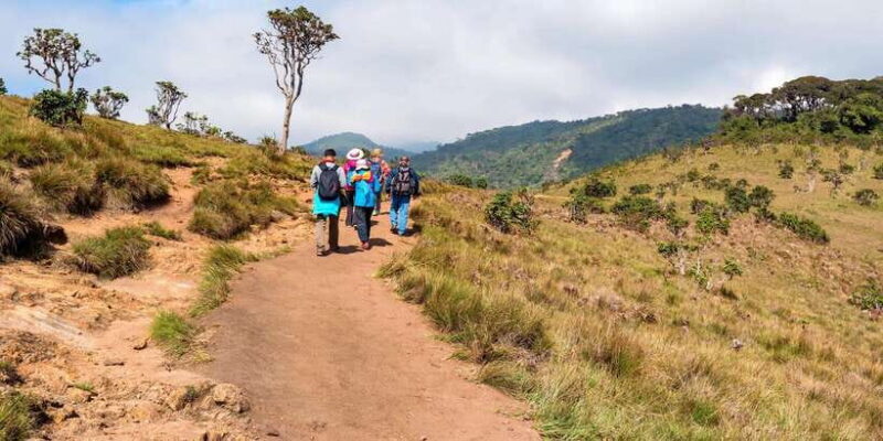 Visit Horton plains and Nuwara Eliya from Kandy - A Close Look at the Tour Experience