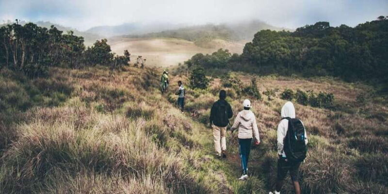 Visit Horton plains and Nuwara Eliya from Kandy - Wrapping It Up: Is This Tour for You?