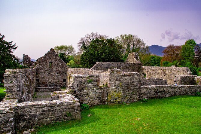 Visit Innisfallen Island - Why You Should Consider Visiting Innisfallen Island