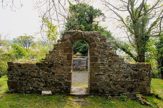 Visit Innisfallen Island - Key Points