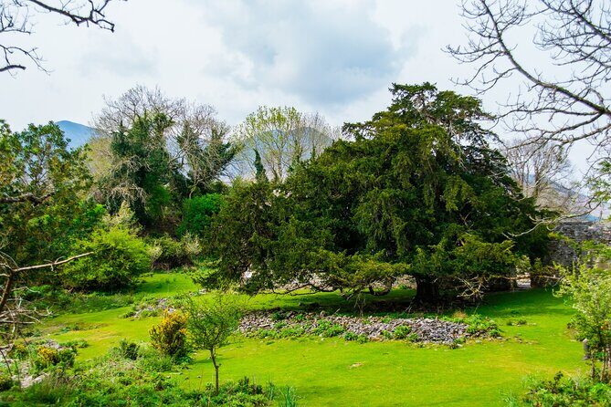 Visit Innisfallen Island - Final Thoughts: Is This the Right Tour for You?
