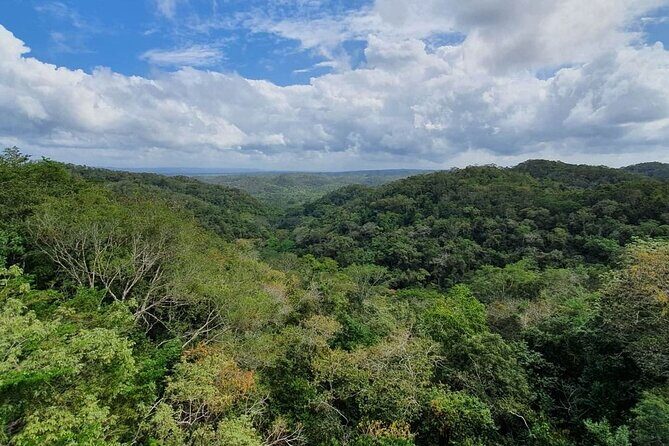 Visit Ixpanpajul: Jungle, Trekking, Hanging Bridges & Canopy - Tour from Flores - Who Should Consider This Tour?