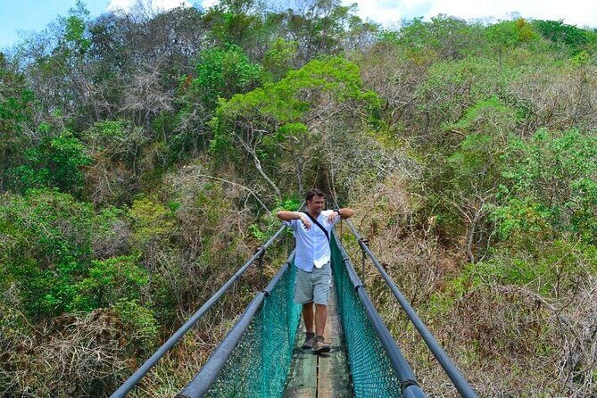 Visit Ixpanpajul: Jungle, Trekking, Hanging Bridges & Canopy - Tour from Flores - Final Thoughts