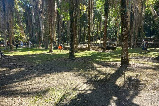 Visit Kohunlich with the option of Professional Native Guides - Detailed Itinerary Breakdown